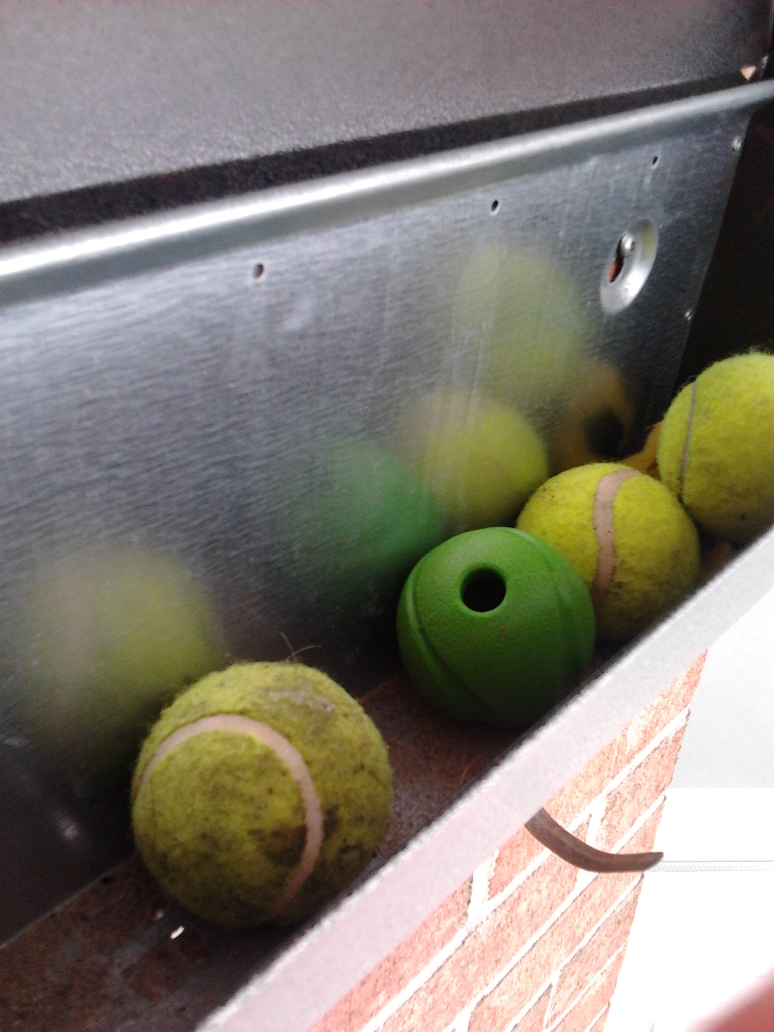 A Whole New Ball Game