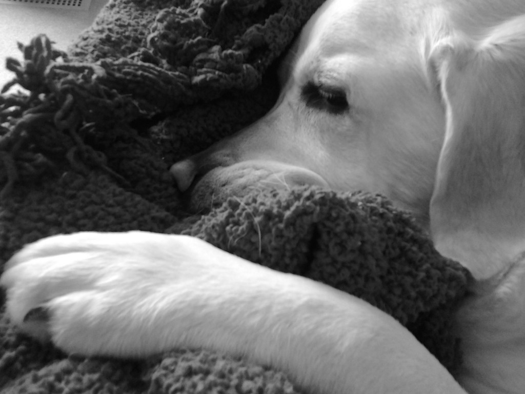 Black-And-White-Sunday