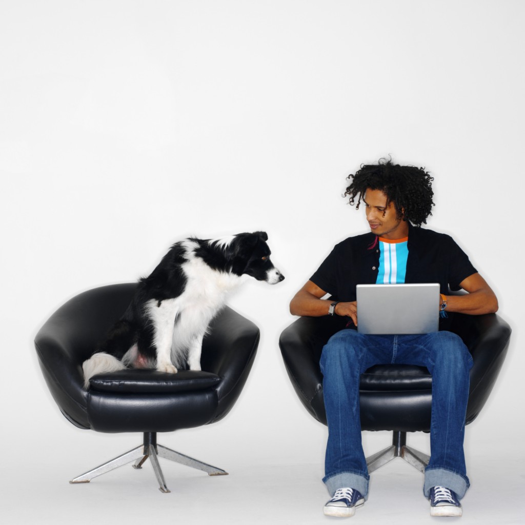 Building A Dog Blog - Man And Dog Working Together