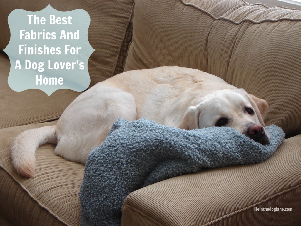 The Best Fabrics and Finishes for a Dog Lover's Home